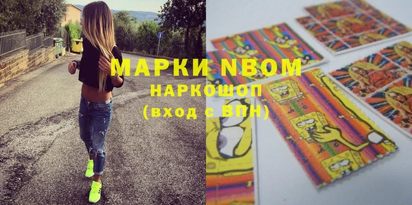 прущие грибы Каменск-Шахтинский