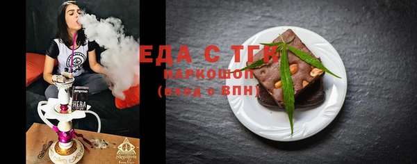 индика Каменка