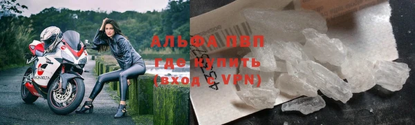 гашик Каменногорск
