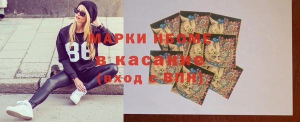 гашик Каменногорск