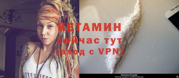 индика Каменка