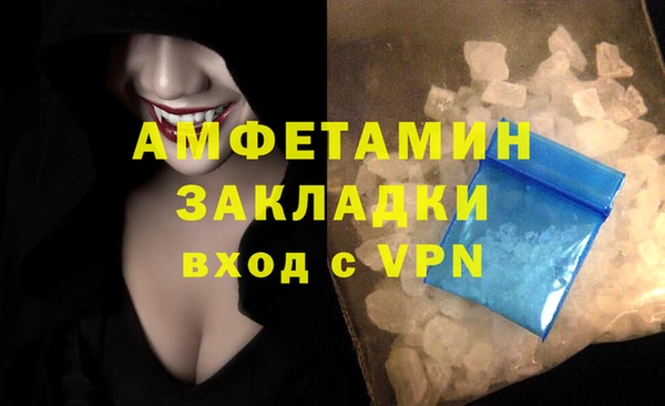 прущие грибы Каменск-Шахтинский