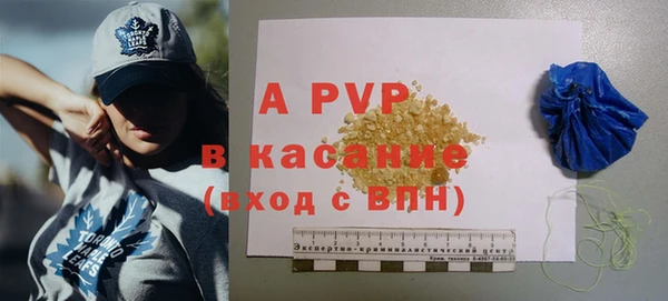 гашик Каменногорск