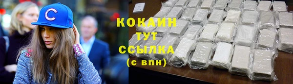 индика Каменка