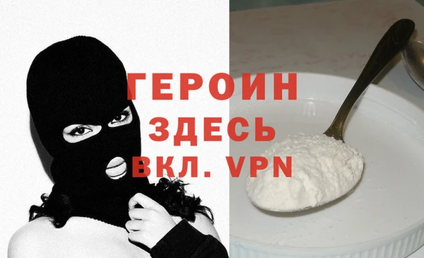 индика Каменка
