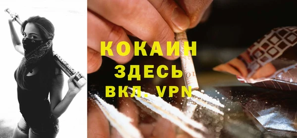гашик Каменногорск