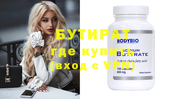 индика Каменка