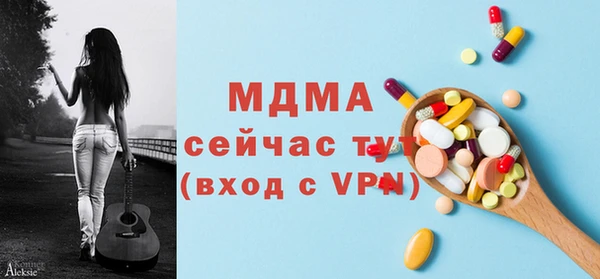 индика Каменка