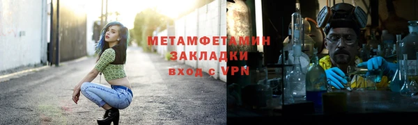 индика Каменка