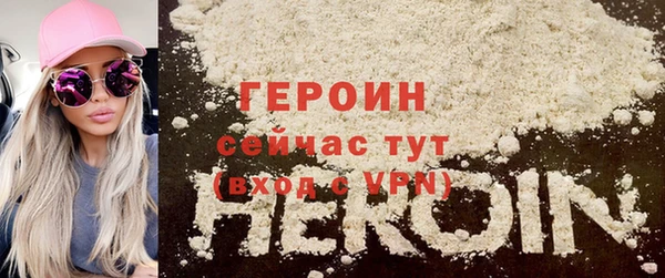 индика Каменка