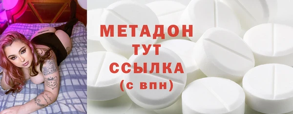 индика Каменка
