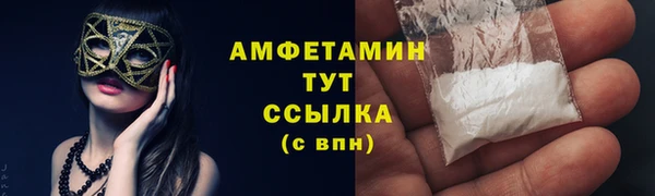 прущие грибы Каменск-Шахтинский