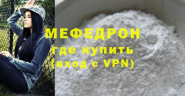 индика Каменка