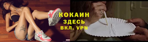 гашик Каменногорск