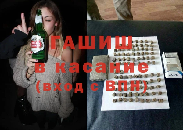 индика Каменка