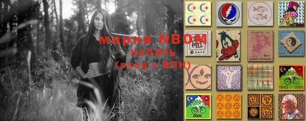 гашик Каменногорск