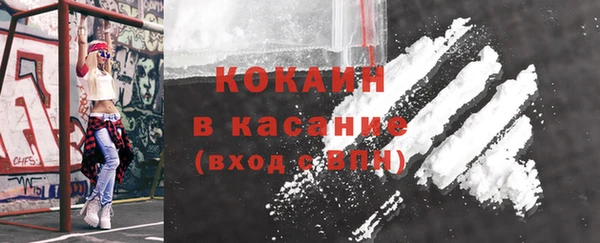 индика Каменка