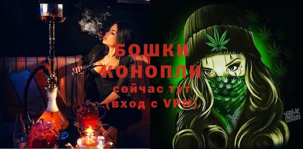 прущие грибы Каменск-Шахтинский
