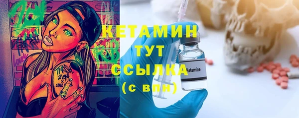 индика Каменка