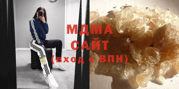 индика Каменка