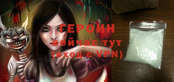 индика Каменка
