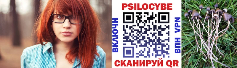 Купить Каменка Псилоцибиновые грибы прущие грибы